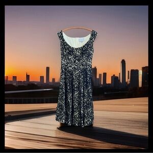 Anthropologie Mirror of Venus Flared Lace Dress Size 4